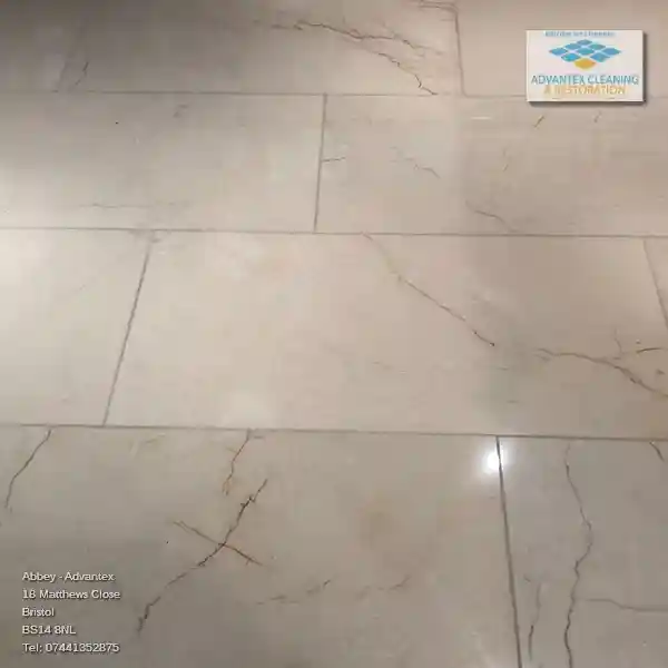 Marvel at the Beauty of Stone Floors