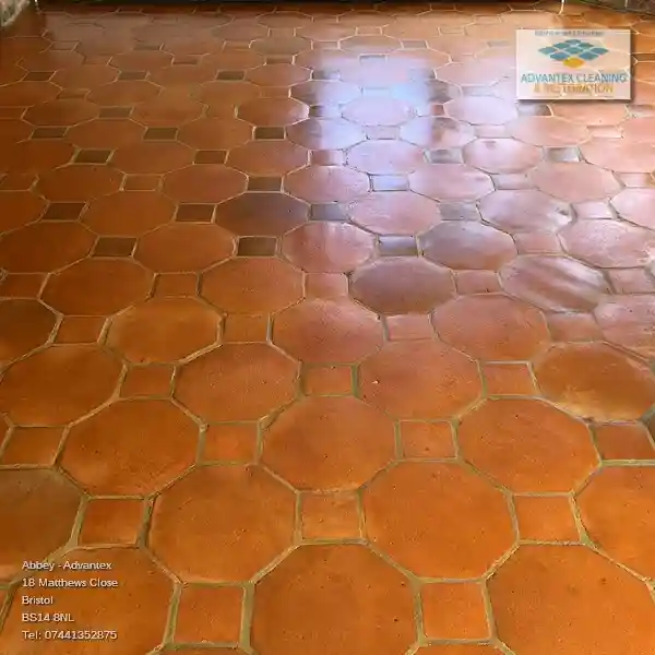 Beautifully cleaned Terracotta Tile floor