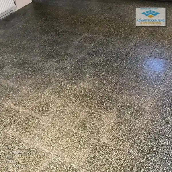 Accurate Terrazzo Inspection And Estimate