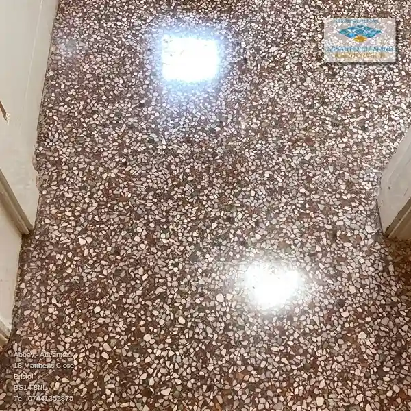 Revel in the Smooth Feel of Terrazzo Floors